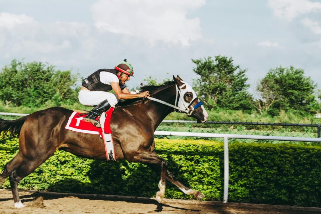 adani exchnage betting